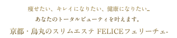 Felice -フェリーチェ-