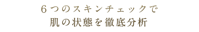 肌の状態を徹底分析